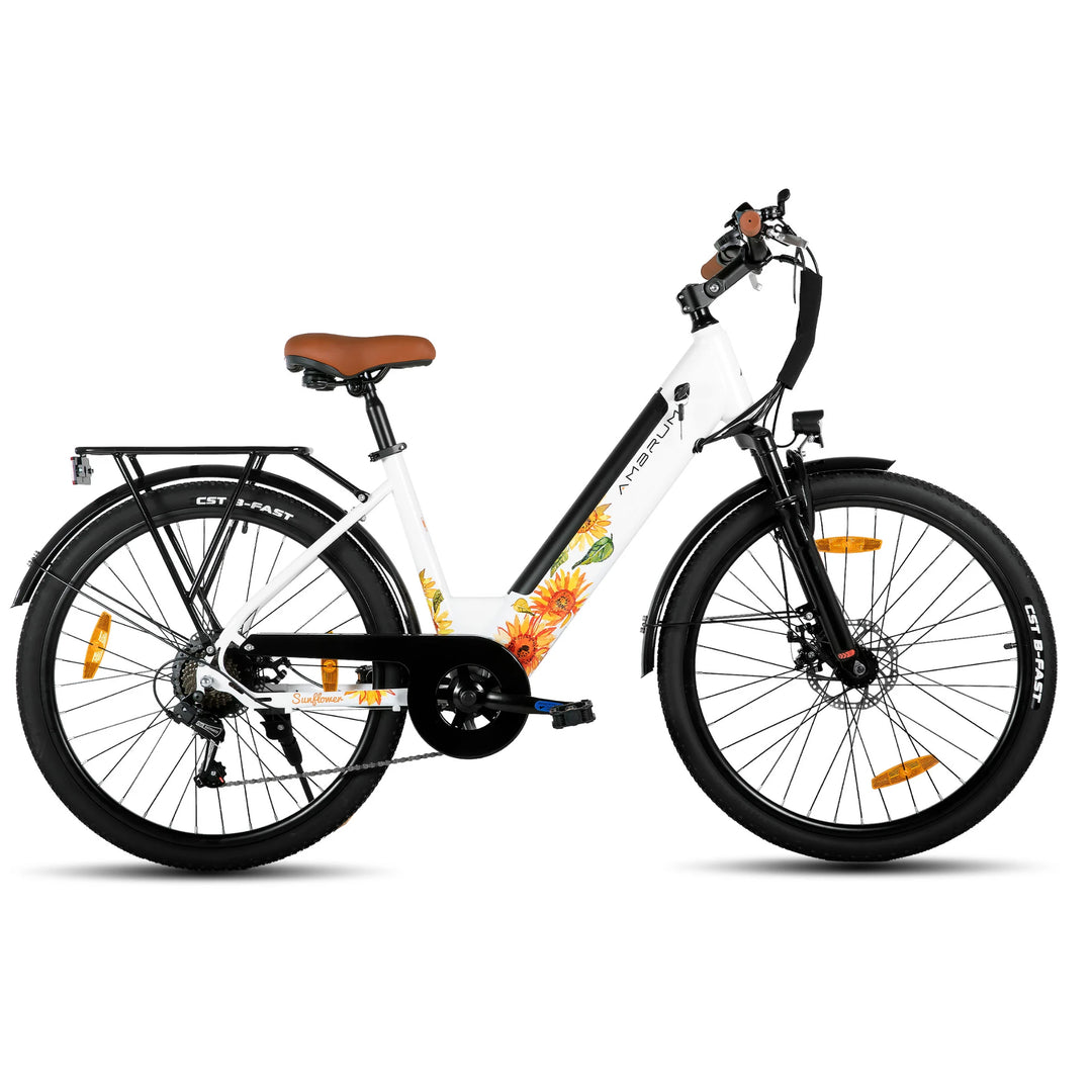 JOYSTAR 26 Inch Electric Bike for Adults & Teenagers