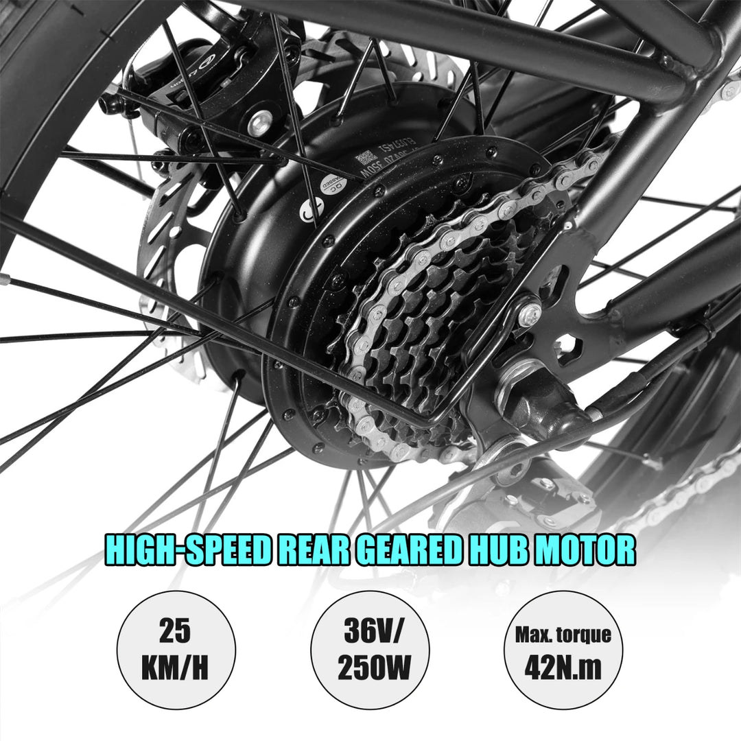 HILAND 20 Inch Electric Cargo Bike 250W Step-Thru Utility E-Bike