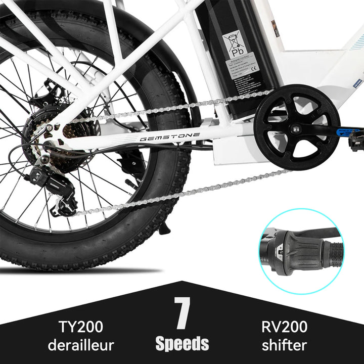 HILAND 20 Inch Electric Cargo Bike 250W Step-Thru Utility E-Bike