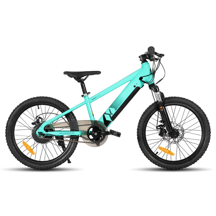 JOYSTAR Starmoto 20 Inch Electric Bike for Kids & Teenagers