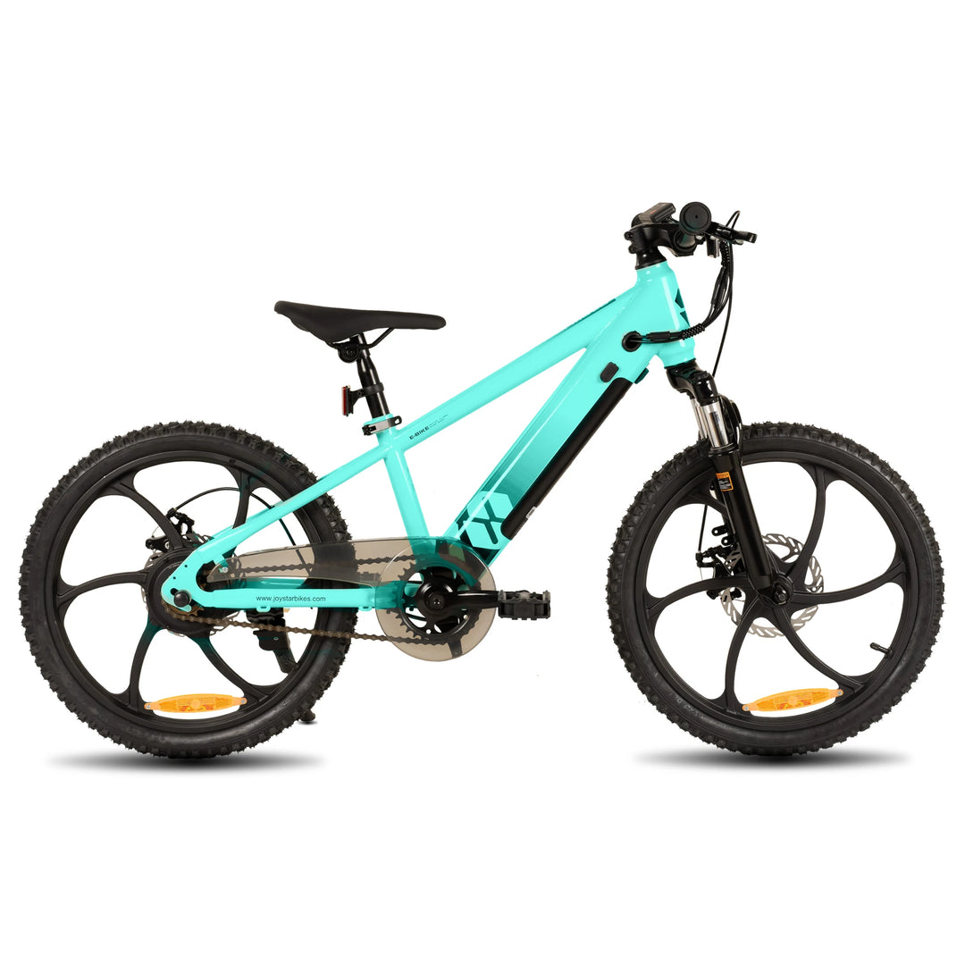 JOYSTAR Starmoto 20 Inch Electric Bike for Kids & Teenagers
