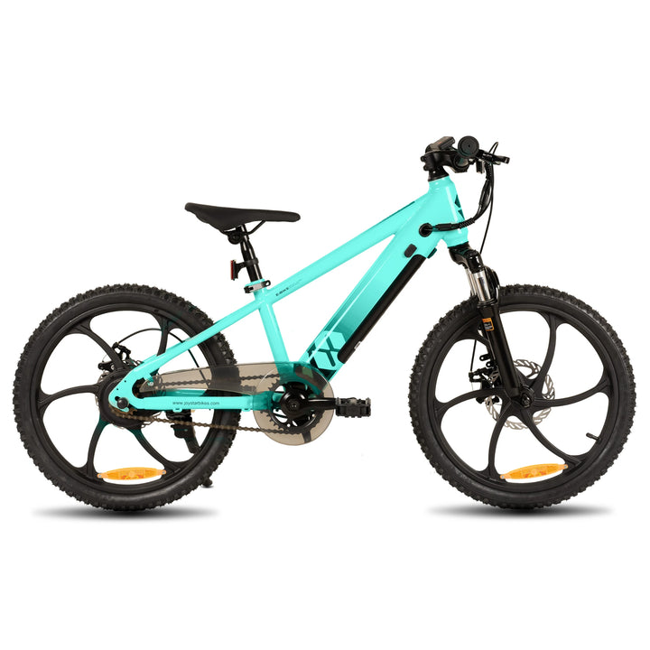 JOYSTAR Starmoto 20 Inch Electric Bike for Kids & Teenagers