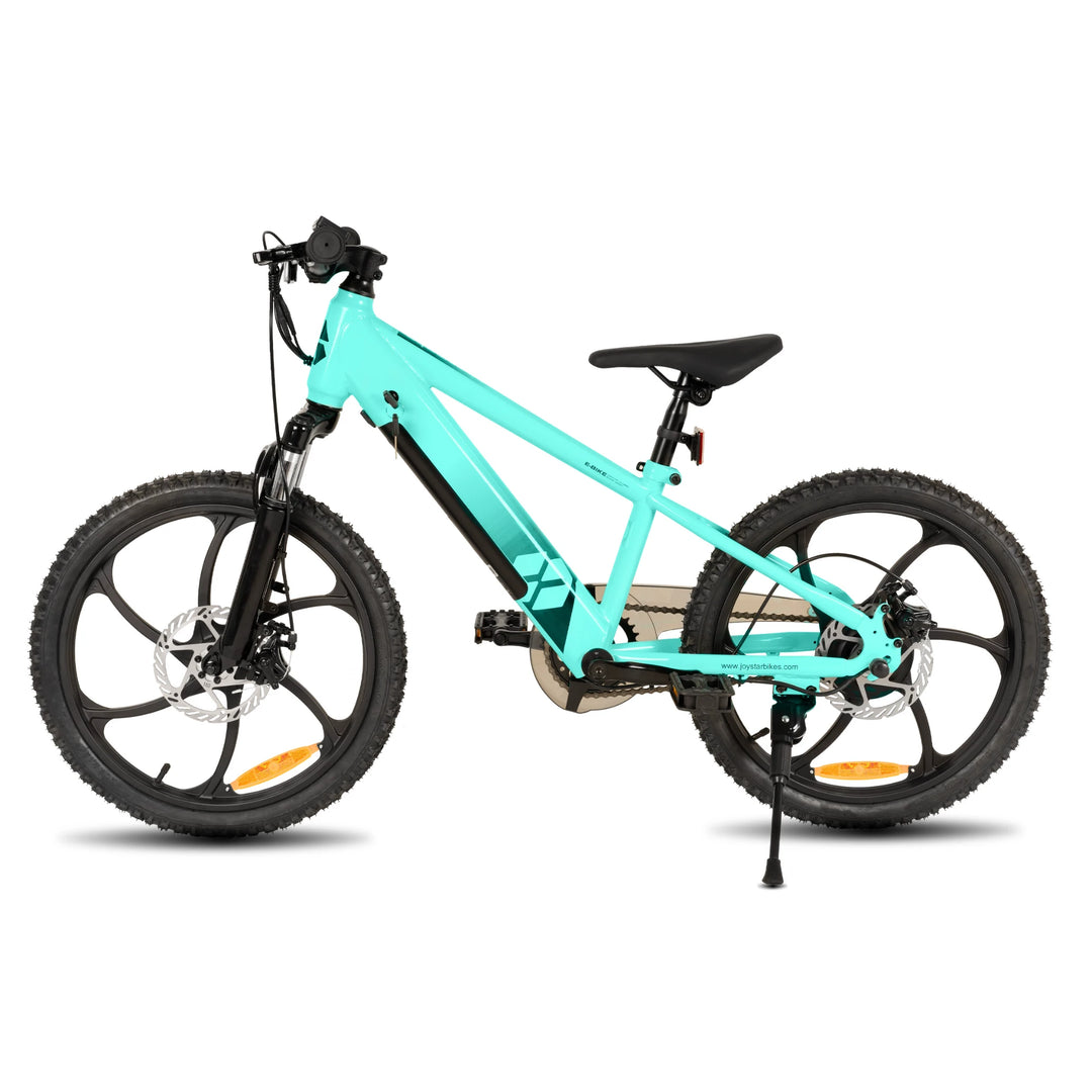 JOYSTAR Starmoto 20 Inch Electric Bike for Kids & Teenagers