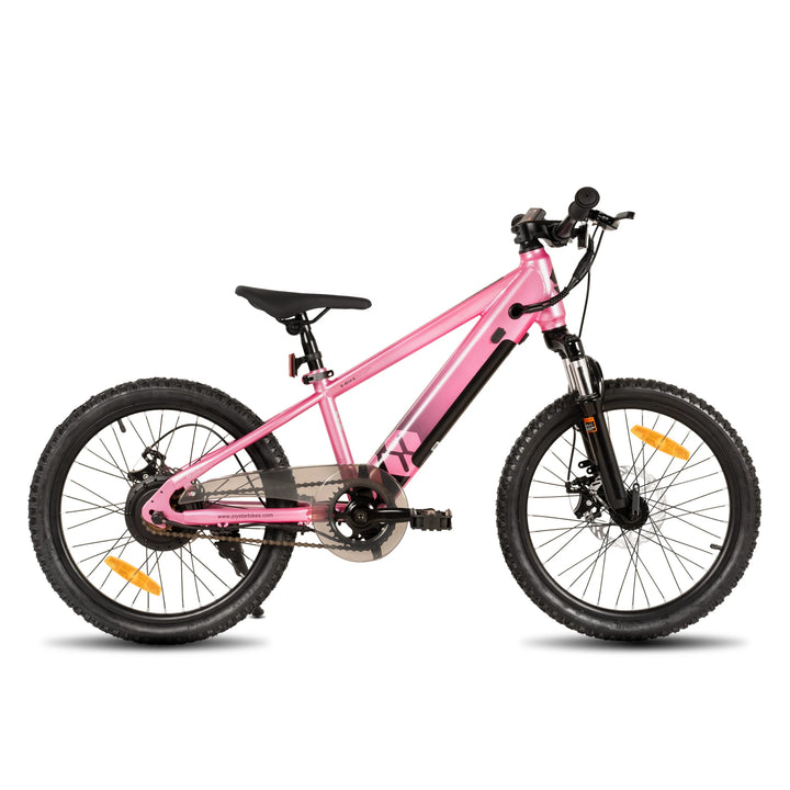 JOYSTAR Starmoto 20 Inch Electric Bike for Kids & Teenagers