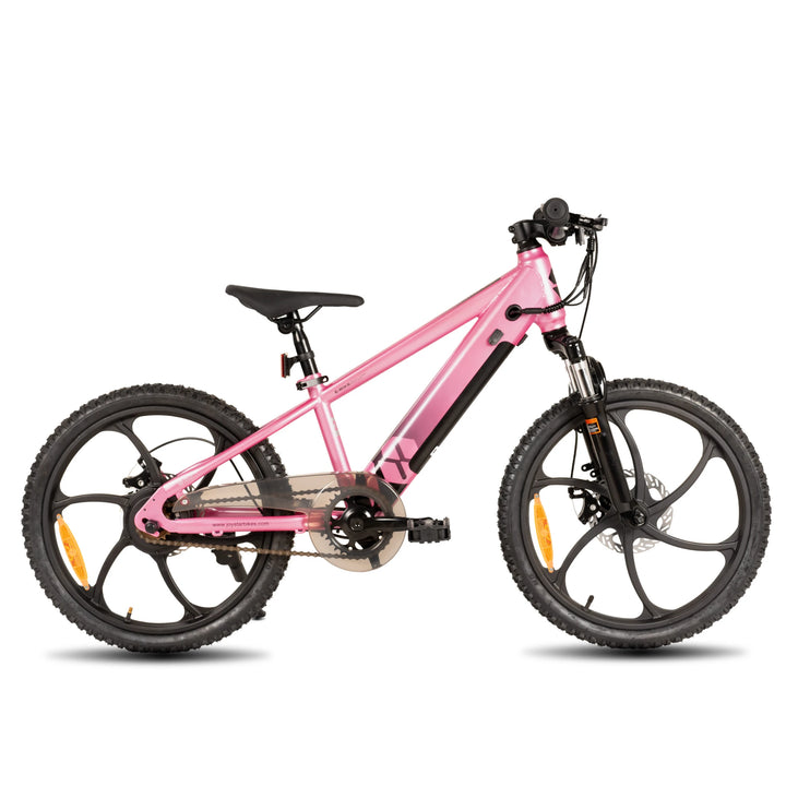 JOYSTAR Starmoto 20 Inch Electric Bike for Kids & Teenagers