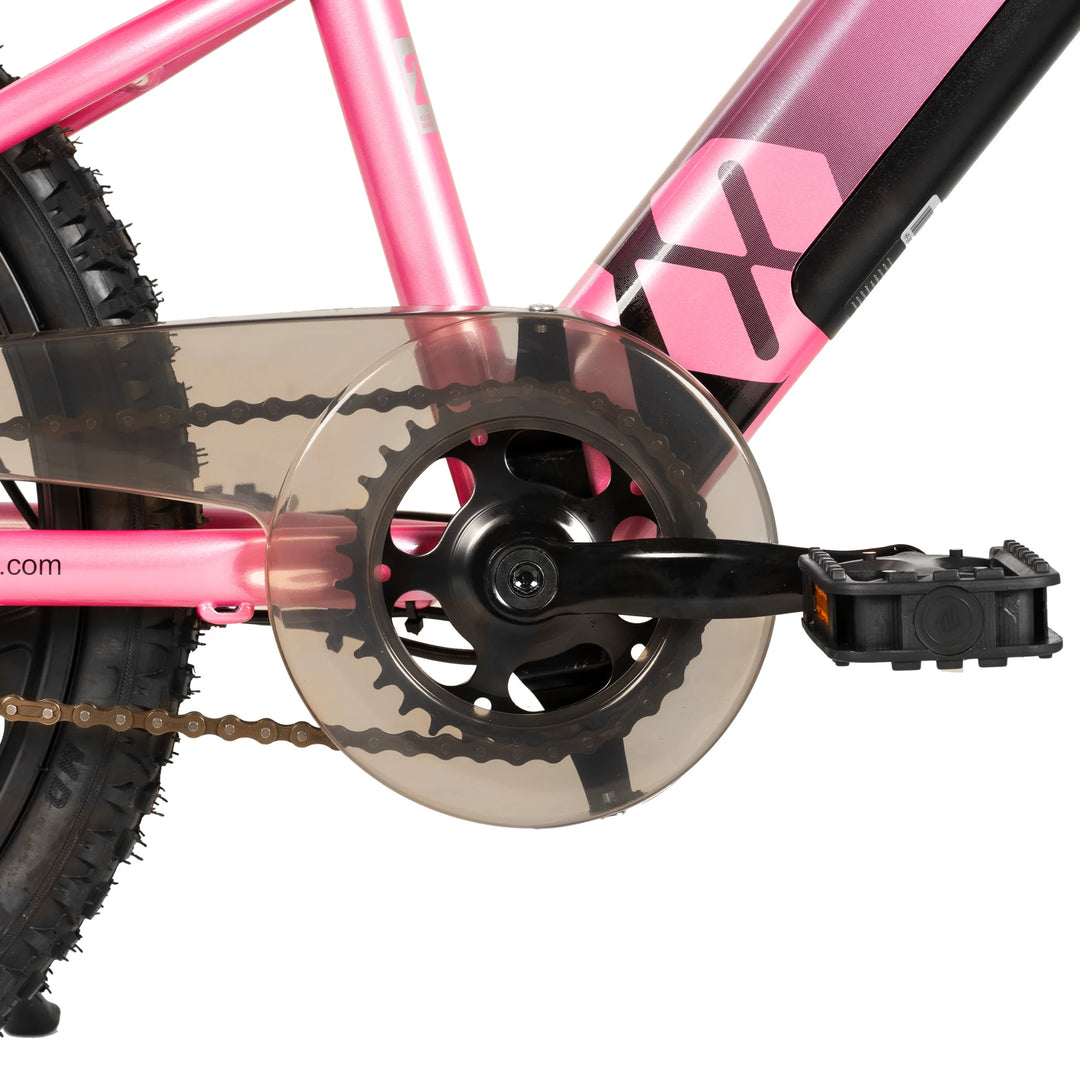 JOYSTAR Starmoto 20 Inch Electric Bike for Kids & Teenagers