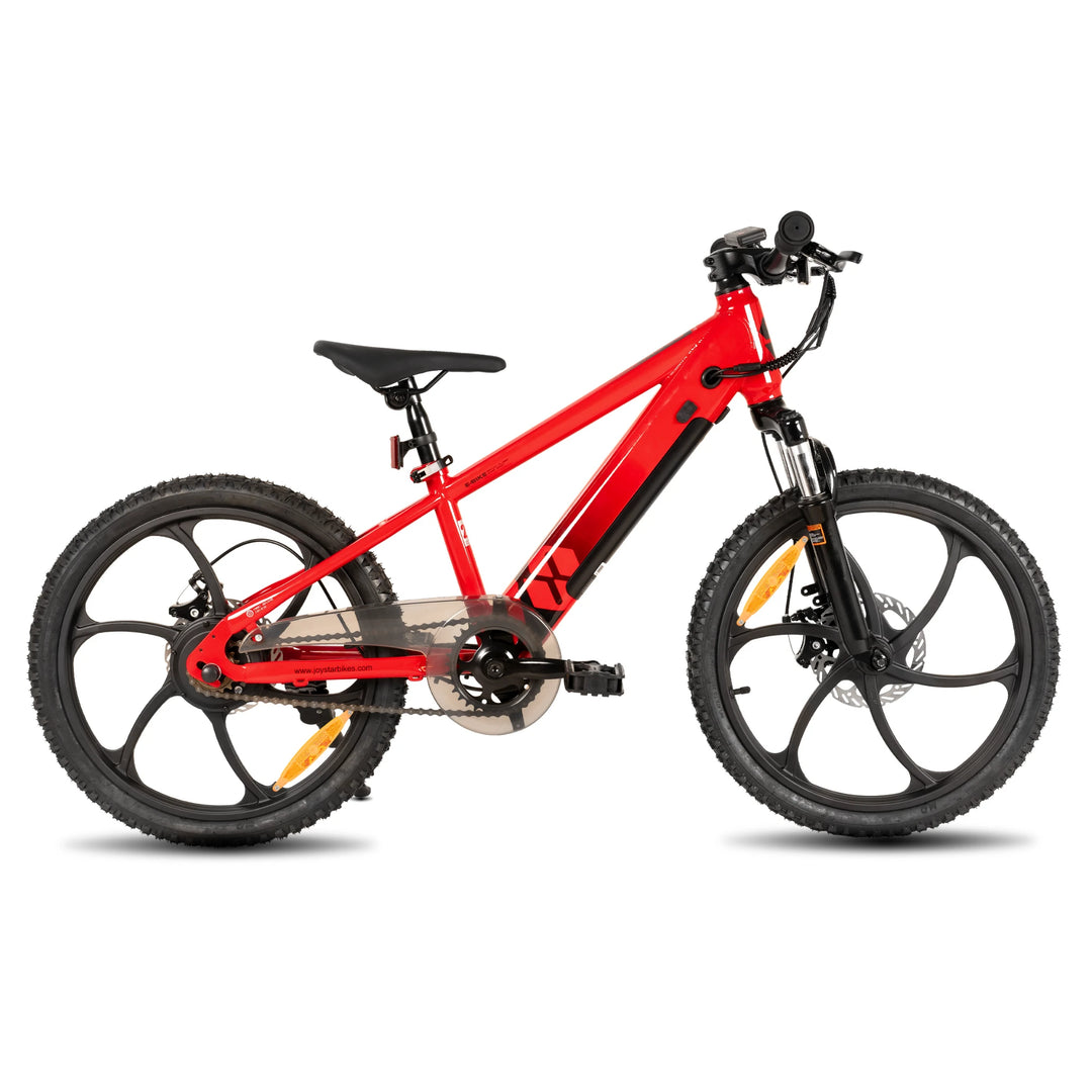 JOYSTAR Starmoto 20 Inch Electric Bike for Kids & Teenagers