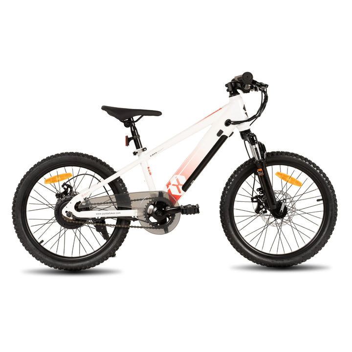 JOYSTAR Starmoto 20 Inch Electric Bike for Kids & Teenagers