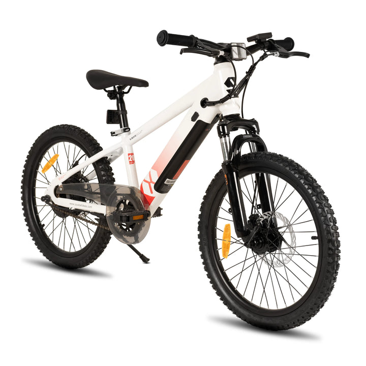 JOYSTAR Starmoto 20 Inch Electric Bike for Kids & Teenagers