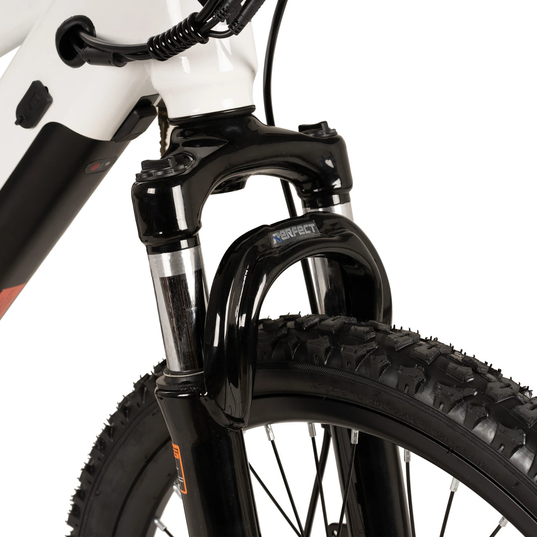 JOYSTAR Starmoto 20 Inch Electric Bike for Kids & Teenagers
