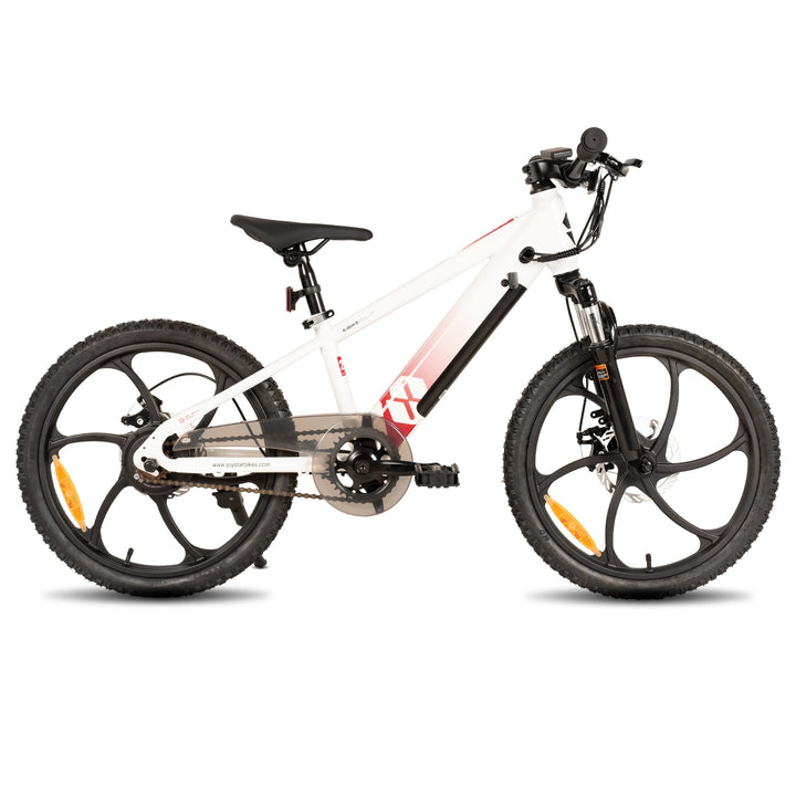 JOYSTAR Starmoto 20 Inch Electric Bike for Kids & Teenagers