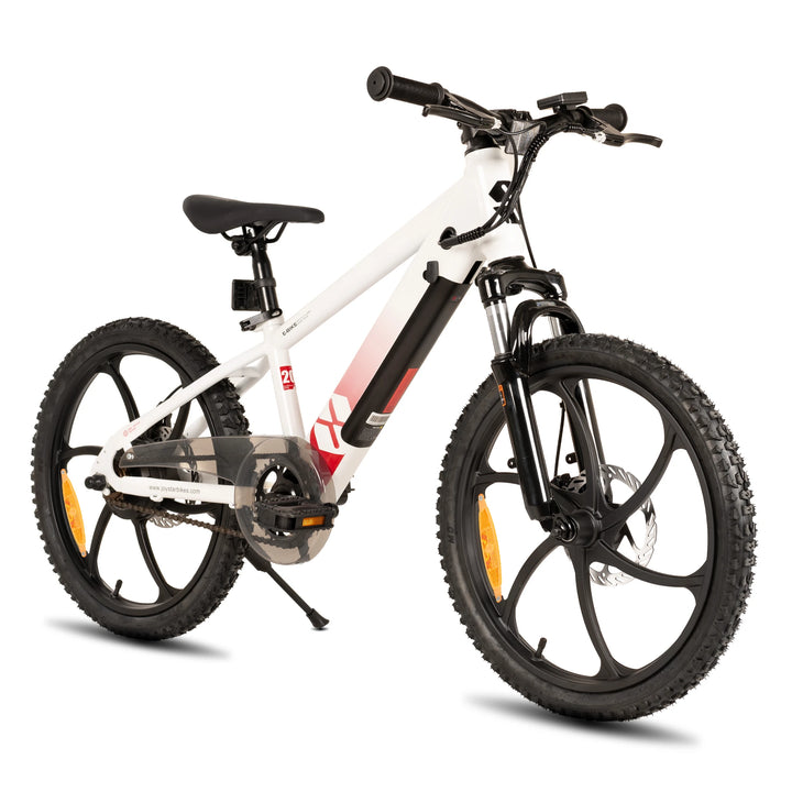 JOYSTAR Starmoto 20 Inch Electric Bike for Kids & Teenagers