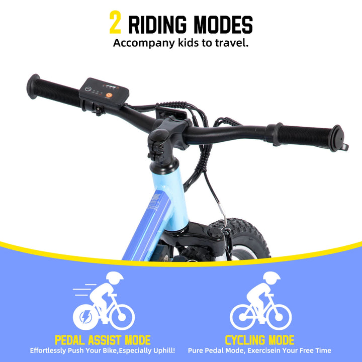 JOYSTAR Radspur 20 Inch Kids Electric Bike