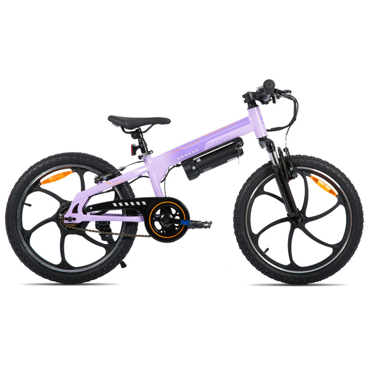 JOYSTAR Radspur 20 Inch Kids Electric Bike