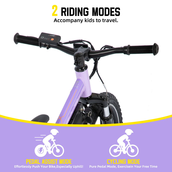 JOYSTAR Radspur 20 Inch Kids Electric Bike