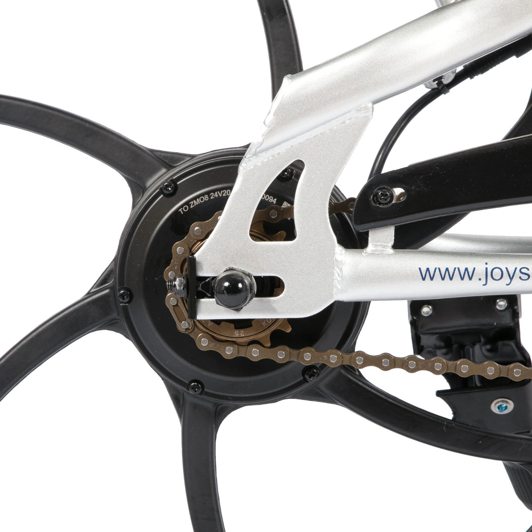 JOYSTAR Radspur 20 Inch Kids Electric Bike