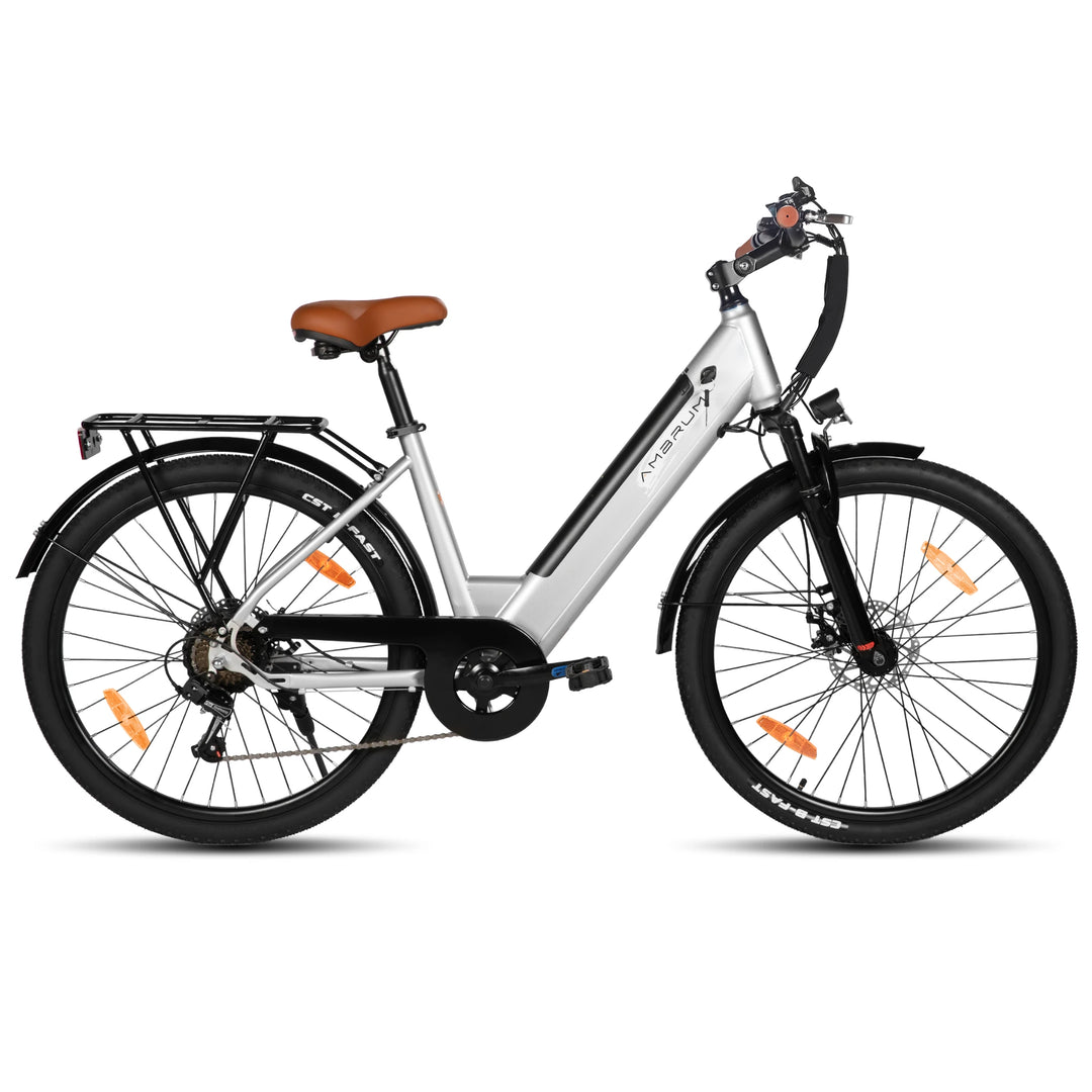 JOYSTAR 26 Inch Electric Bike for Adults & Teenagers