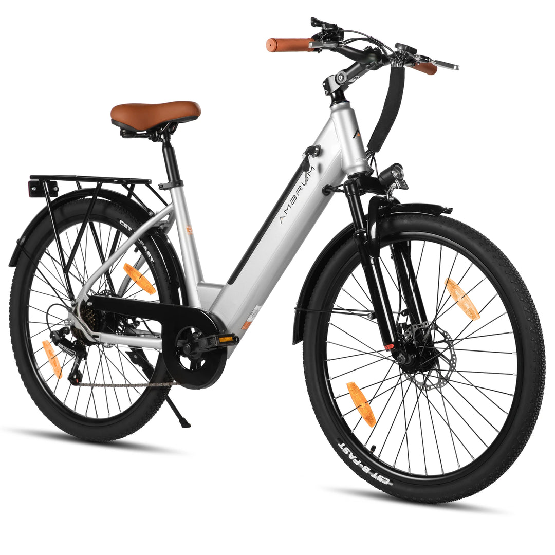 JOYSTAR 26 Inch Electric Bike for Adults & Teenagers