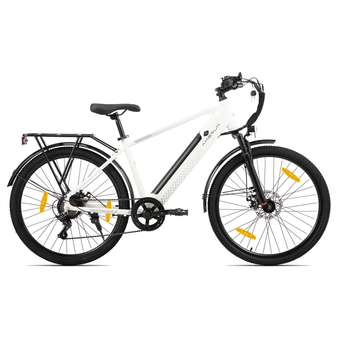JOYSTAR Matawak 26 Inch E-Bike Mountain Bike