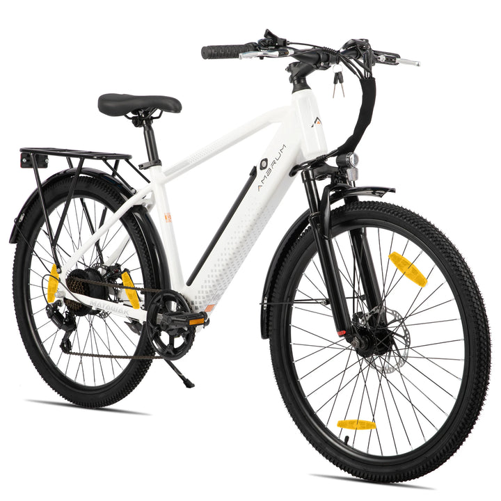 JOYSTAR Matawak 26 Inch E-Bike Mountain Bike